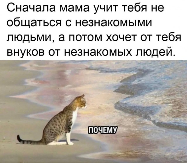 Розы гибнут на газонах...