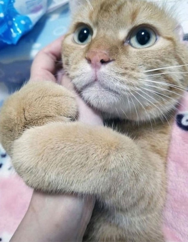 Вторника картинки