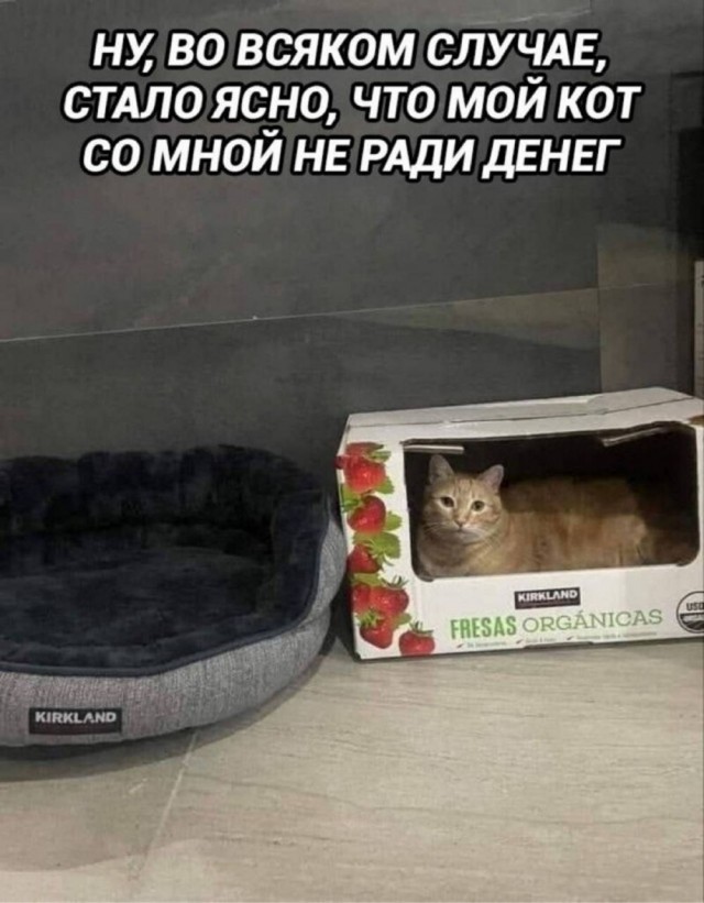 Среды картинки