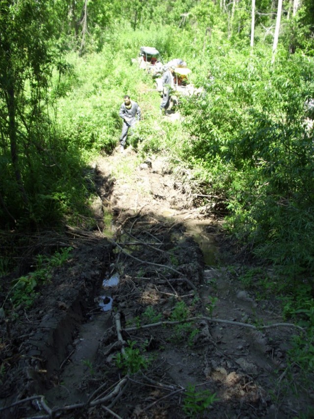 Тимбилдин IT службы при поддержке юр. и фин. служб