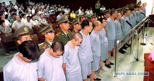 Есть такая профессия - Родину расхищать.