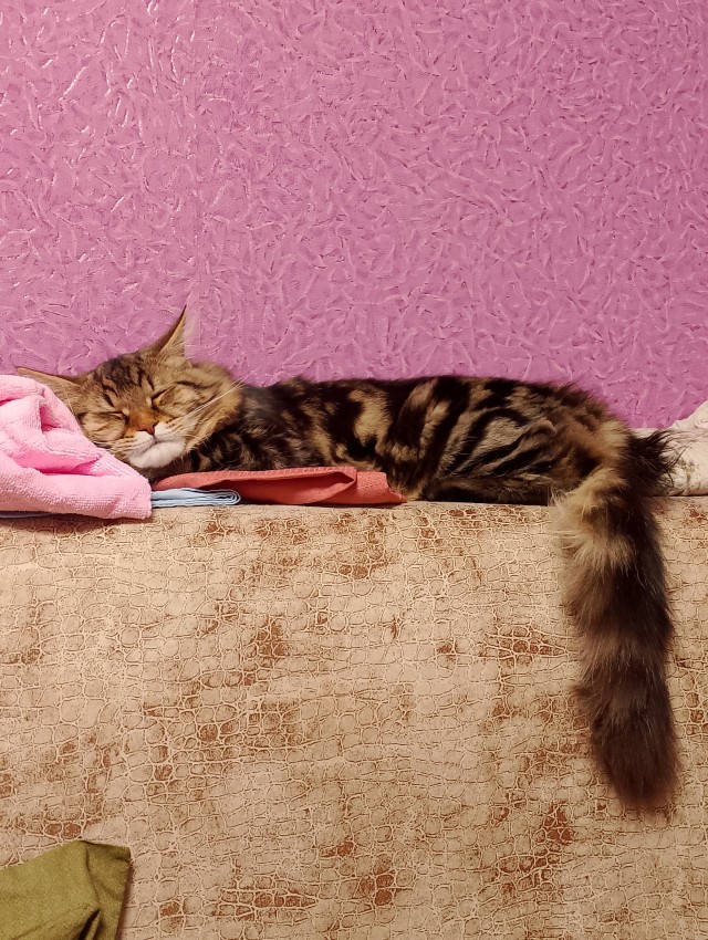 Филя