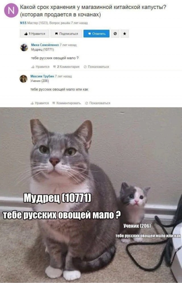 Мемасы разной степени деградации
