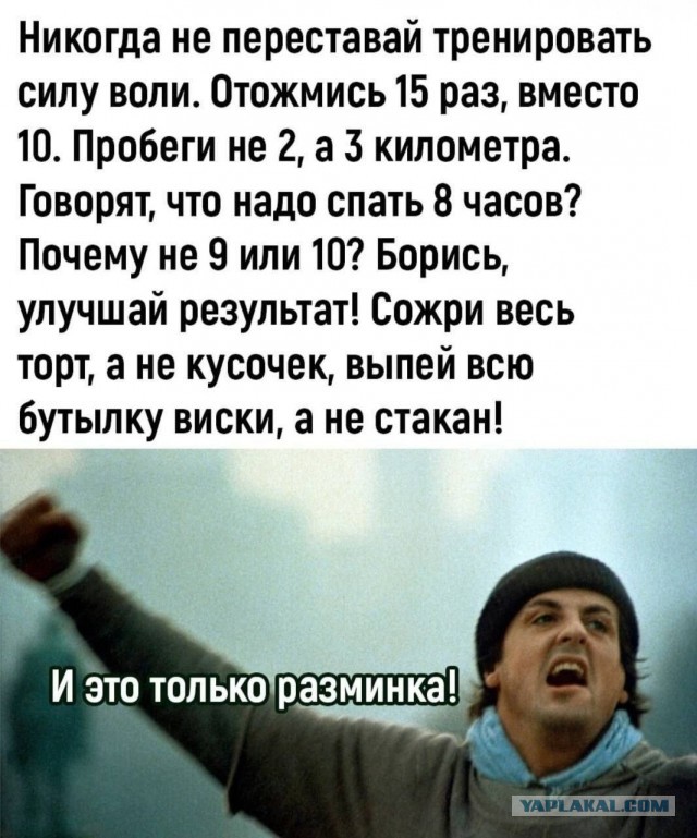 Картинки для деградации 201 (разной степени свежести)