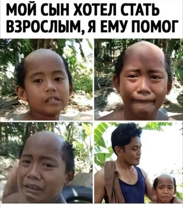 Картинки для деградации 210 (разной степени свежести)