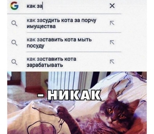 И че ты мне сделаешь?