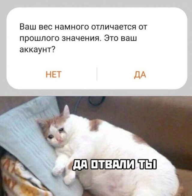 Картиночки, баянчики 18 июня
