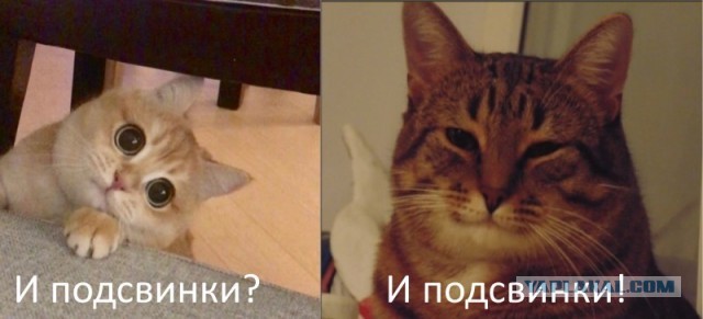 Медведев лично вносит правки в учебник по обществознанию, сообщил Мединский