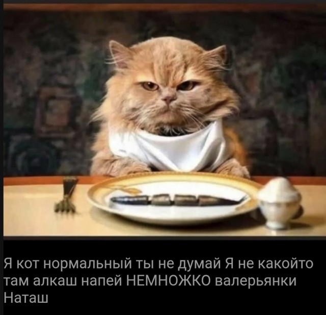 Друзья мне 40