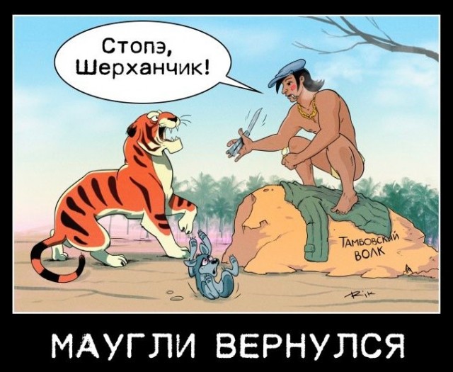 Картинки для деградации 268 (разной степени свежести)