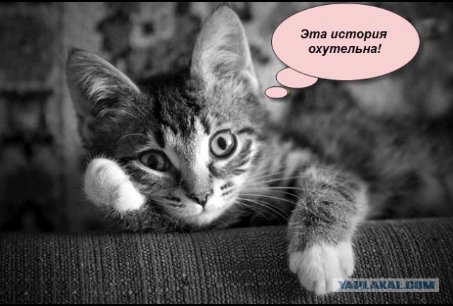 Хладнокровные убийцы