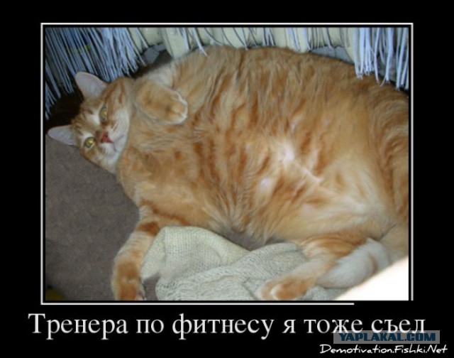 С миру по нитке. Демотиваторов чуть