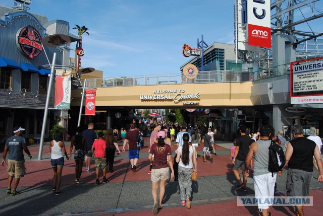 Каникулы во Флориде