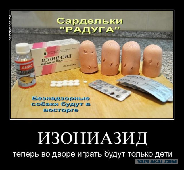 Сетка от собак