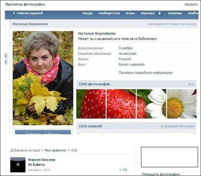 Вестник Соцсетей
