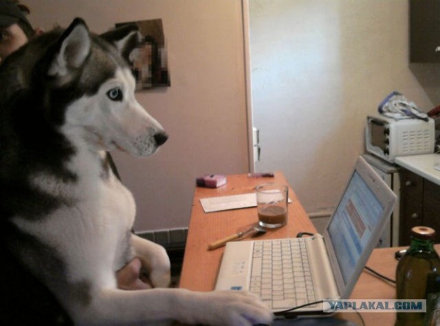 А ну! кому работу надо?