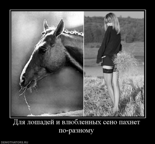 Вы хотите "демов"? часть 2-я