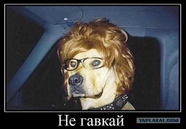 ТП создает лигу шпалоукладчиков