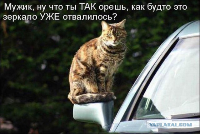 Автоюмор, смекалка, но чаще абсурд