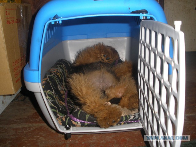 Удобная поза во время сна очень важна!