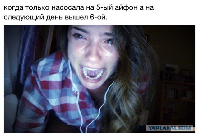 В мире животных...