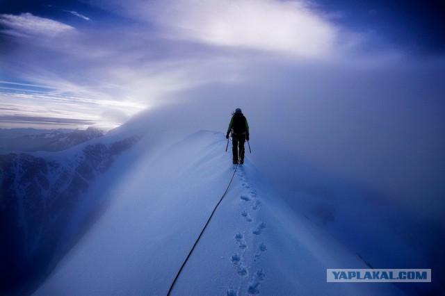Всем нашим встречам,  увы, разлуки суждены...