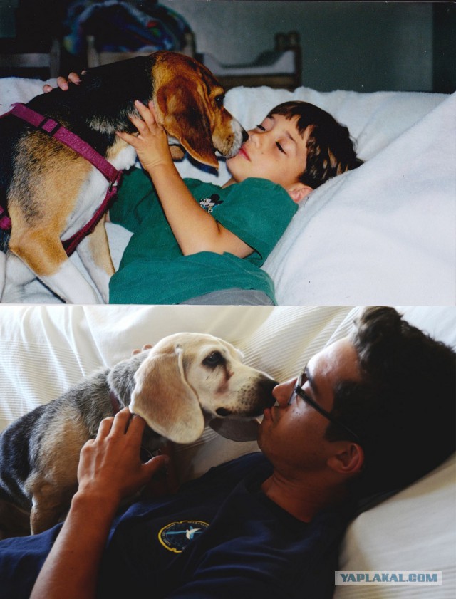 Растем вместе - Дети и животные До и После