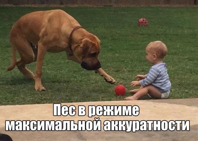 Интересные и веселые картинки