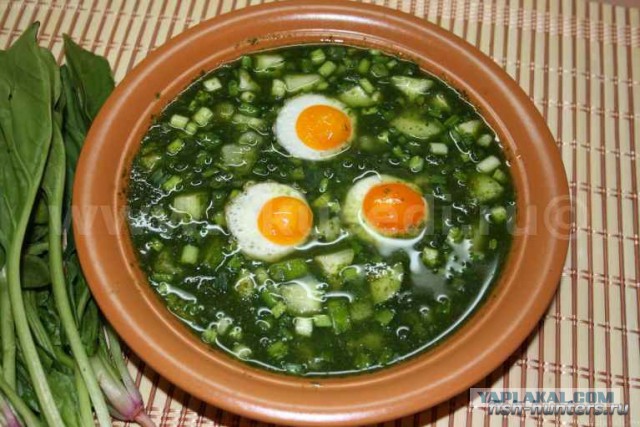 Юкка: уход и размножение