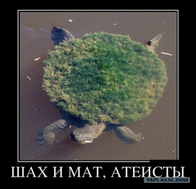 Плоская земля, плоское сознание, плоский мозг