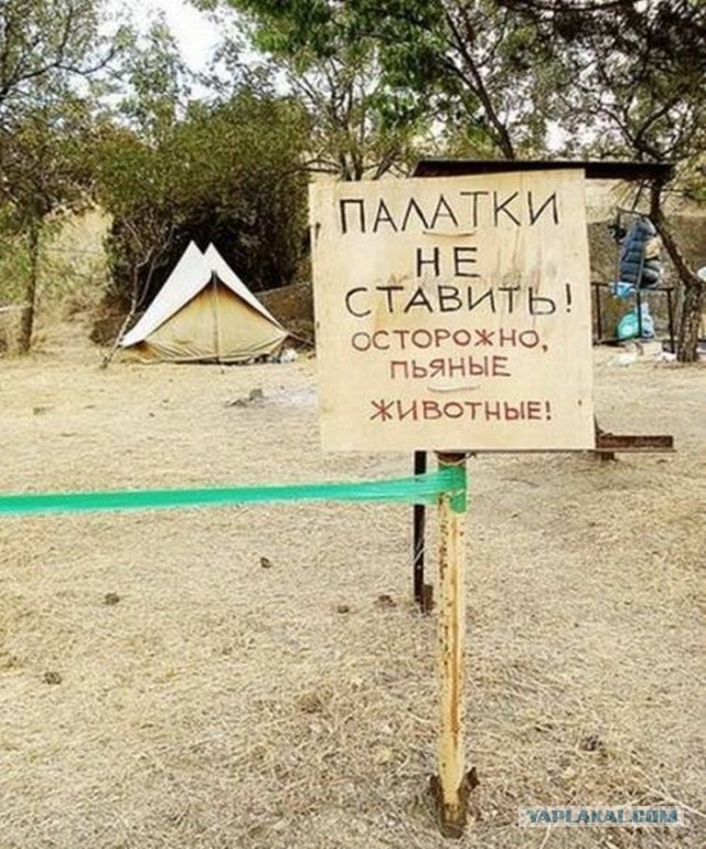 Картинки. Интересные, старые и не очень