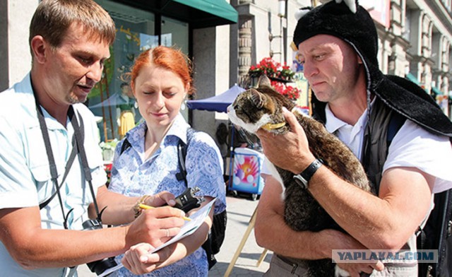 Белорусские власти потребовали объяснений от хозяина ловившей зайцев кошки