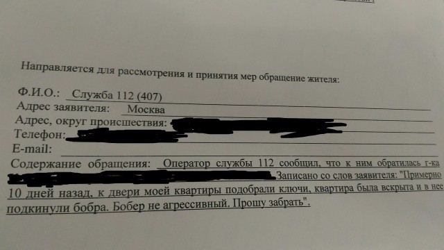 144 картинки для поднятия настроения!