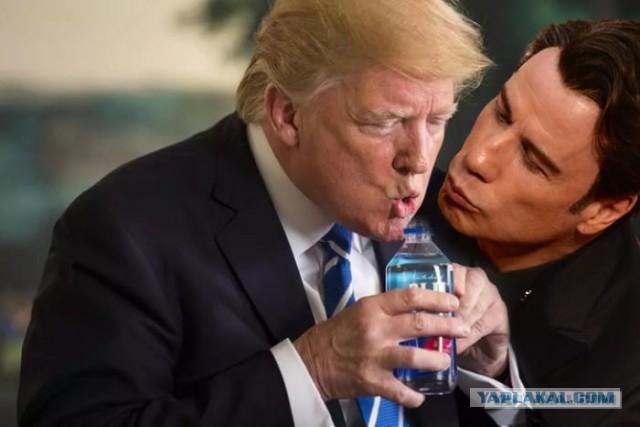 Свежая подпорка жаб на Трампа