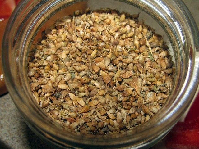 Кулинары поздравляют ЯП с днём рождения!