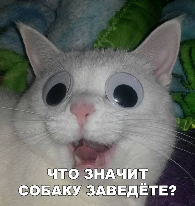 Нестандартный юмор