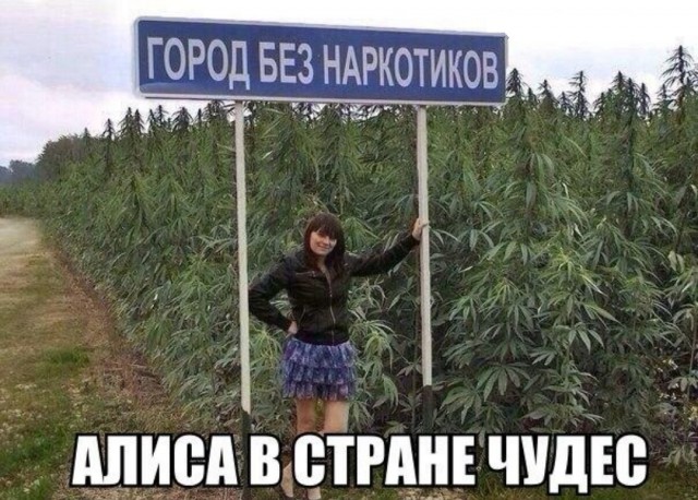 Выловлено в наших сетях