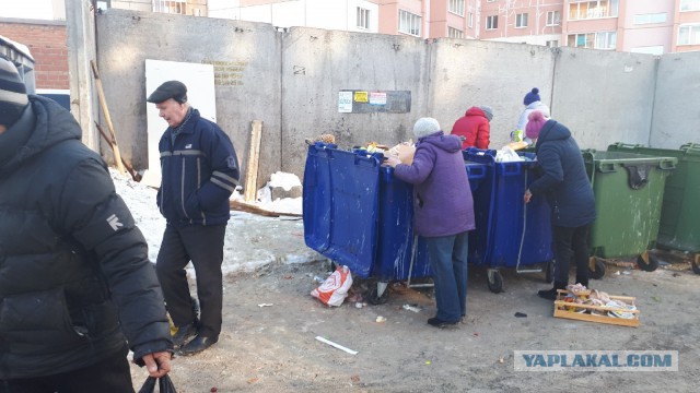 Печальная реальность. Челябинск. Пенсионеры собирают продукты на мусорке.(Для людей с расшатанной психикой 18+).