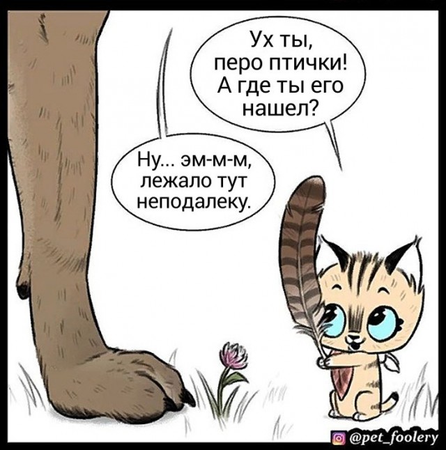 Бруд и Пикси