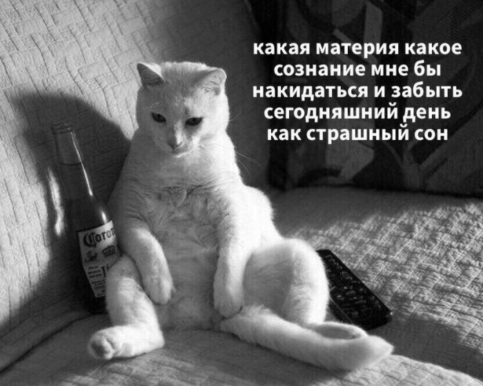 Безнадёга (всё плохо)