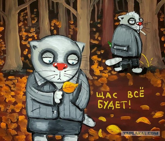 Не знаю, что делать - мелкий черный кот