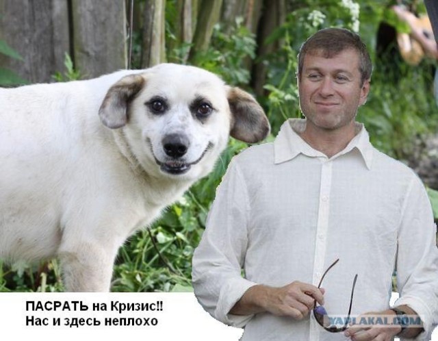 Фотожаба: Собака-улыбака