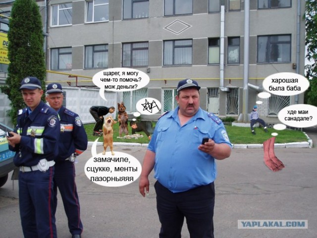 Фотожаба:На связи