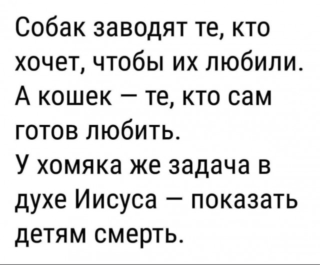 Картинок пост на сон грядущий