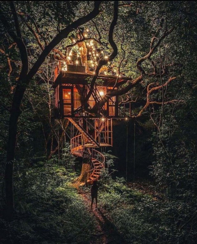 Красота фотографии