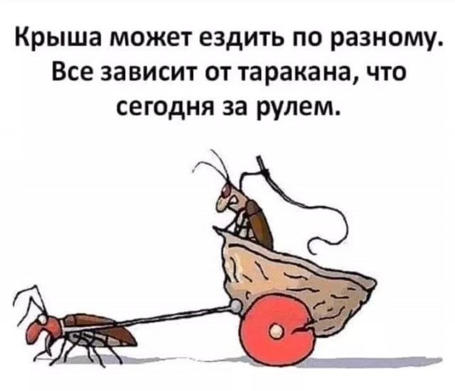 Бредзона 02.02.21