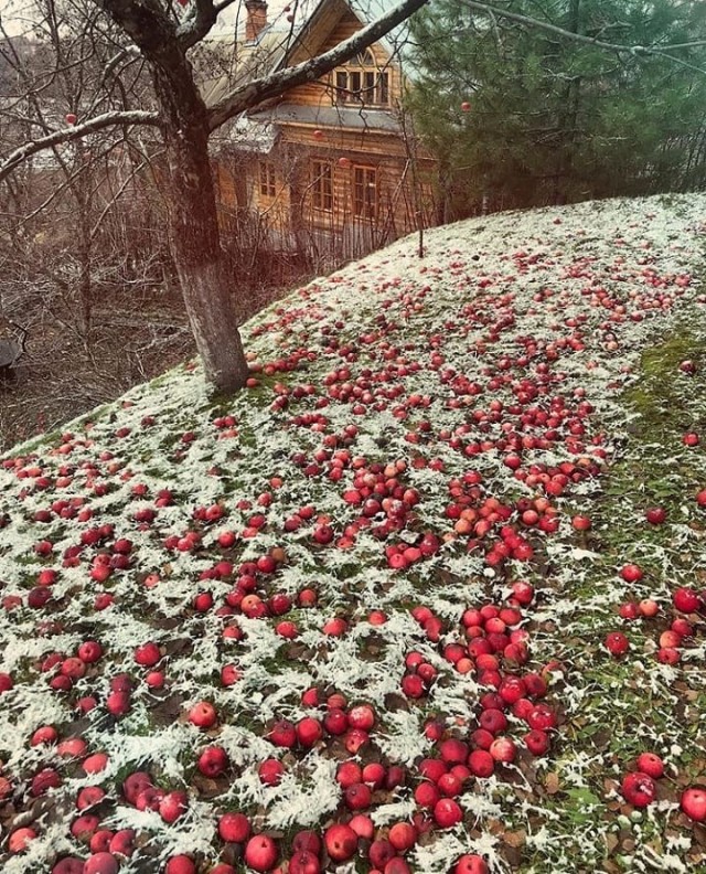 Романтика городских окраин