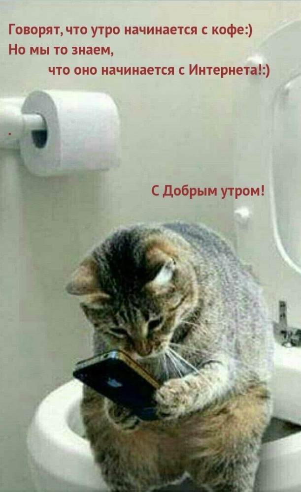 Интимная тема. Про неё