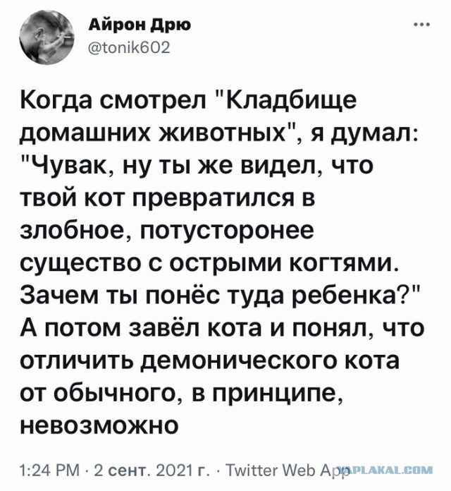 Картинки 12.09.21