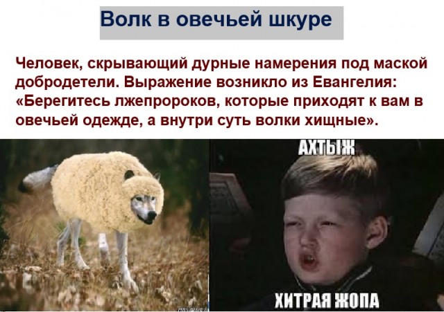 30 известных слов, фраз и выражений